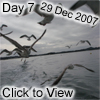 day 7