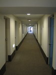 IMG_3487
