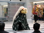IMG_5300