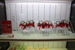 7X0A2684