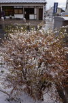 DSC01201