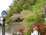 DSCN0177