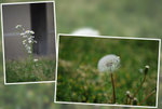 DSC_5456, DSC_5460