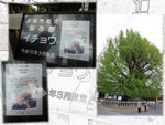 IMG_1030, P1080839, P1080840