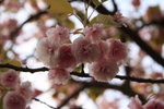 IMG_1653