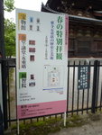 P1080954