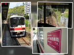 DSCN0259, IMG_1905, P1090638