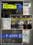 P1090757, IMG_2293, IMG_2294