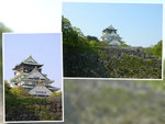 DSCN0468, IMG_3108