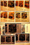 DSCN0507~DSCN0511, IMG_3266~IMG_3272