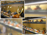 DSCN0550, DSCN0551