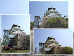 IMG_3199, P1090954, P1090955