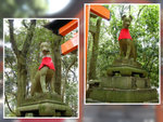 DSCN0007, DSCN0008