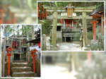 DSCN0020, DSCN0021
