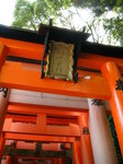 DSCN0035