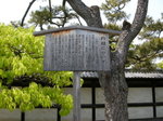 DSCN0079