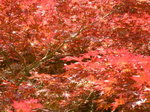 DSCN0101