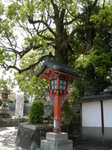 DSCN9972