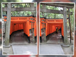 IMG_4430, IMG_4431