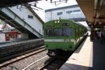 IMG_4545