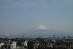 IMG_5379