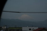 IMG_5445