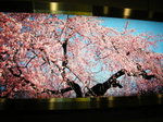 DSCN0178