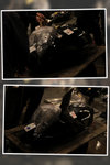 IMG_5954, IMG_5957