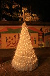 IMG_1517
