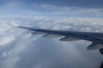 IMG_0259