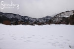IMG_3637
