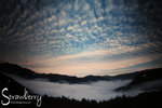 IMG_1365