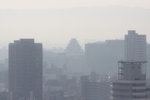 IMG_4017