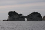 IMG_4544