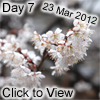 day 7a