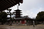 IMG_5324