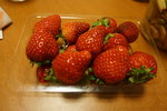 DSC06266