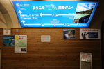 7X0A2803