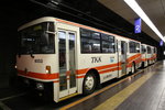 7X0A3253