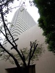 100_0226-酒店後面