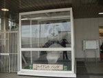 CIMG2765-上野站旁有隻大態貓