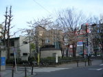 CIMG3950