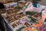 IMG_0080