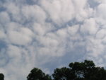 IMG_0172 - 大棠渡假村 2004.10.03