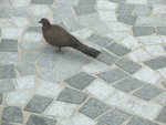 CIMG0449