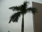 CIMG0453