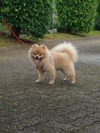 CIMG0004