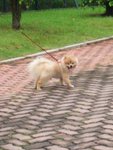 CIMG0025