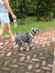 CIMG0027