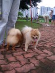 CIMG0048
